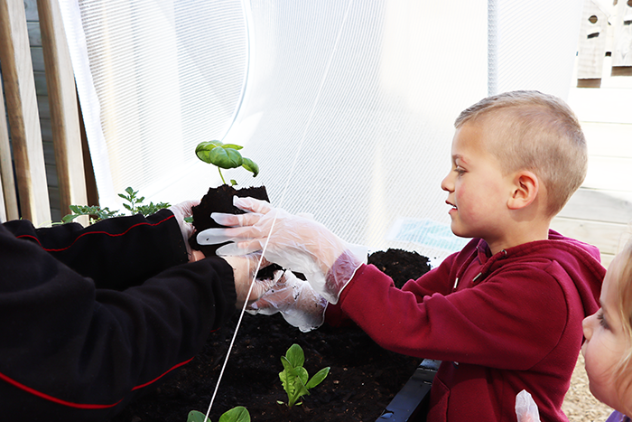 Daycare Centre in Papakura
