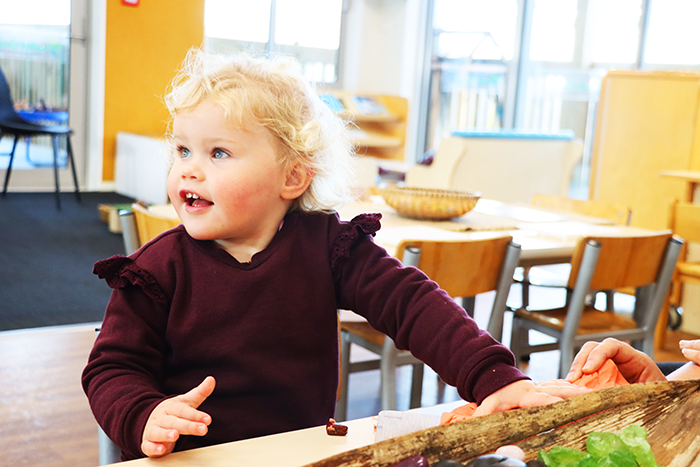 Mangere Childcare centre
