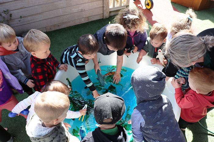 Early Childhood Centre in Papakura
