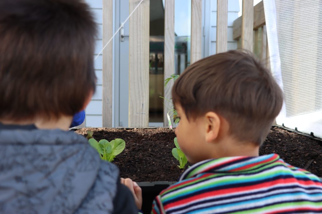 Best daycare in Mangere
