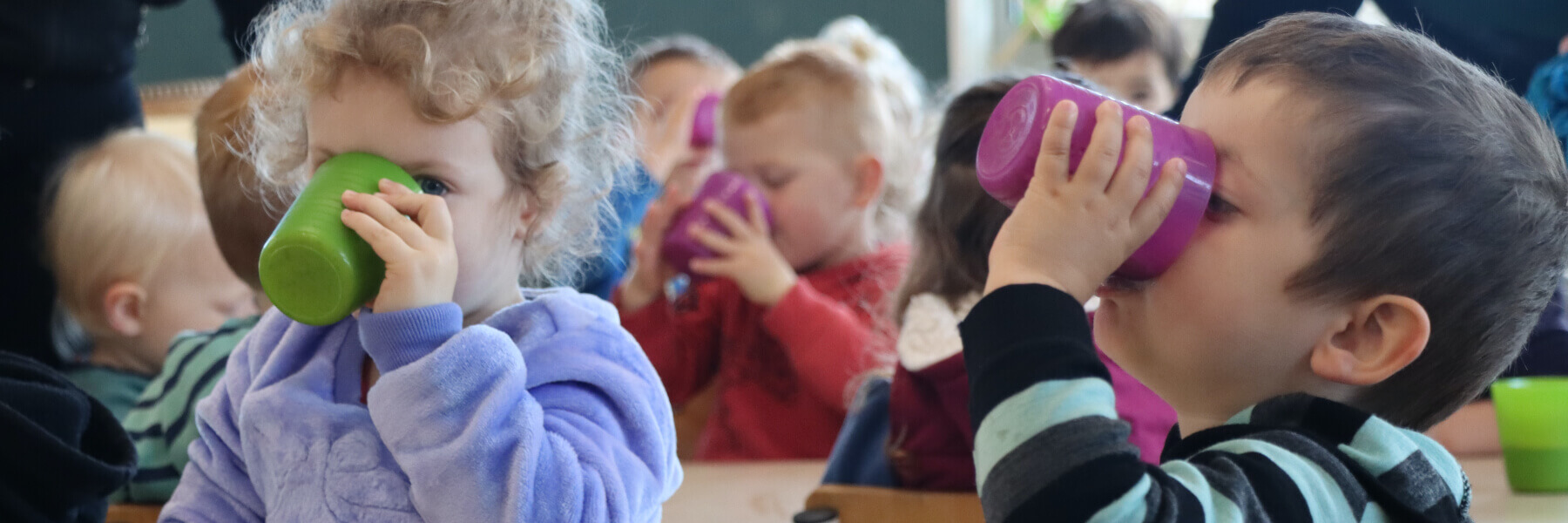 Early Childhood Centre in Mangere